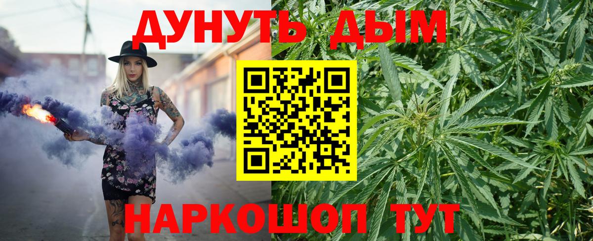 Конопля гибрид Когалым